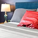Spacious Fully Furnished Apartment By Logan Airport