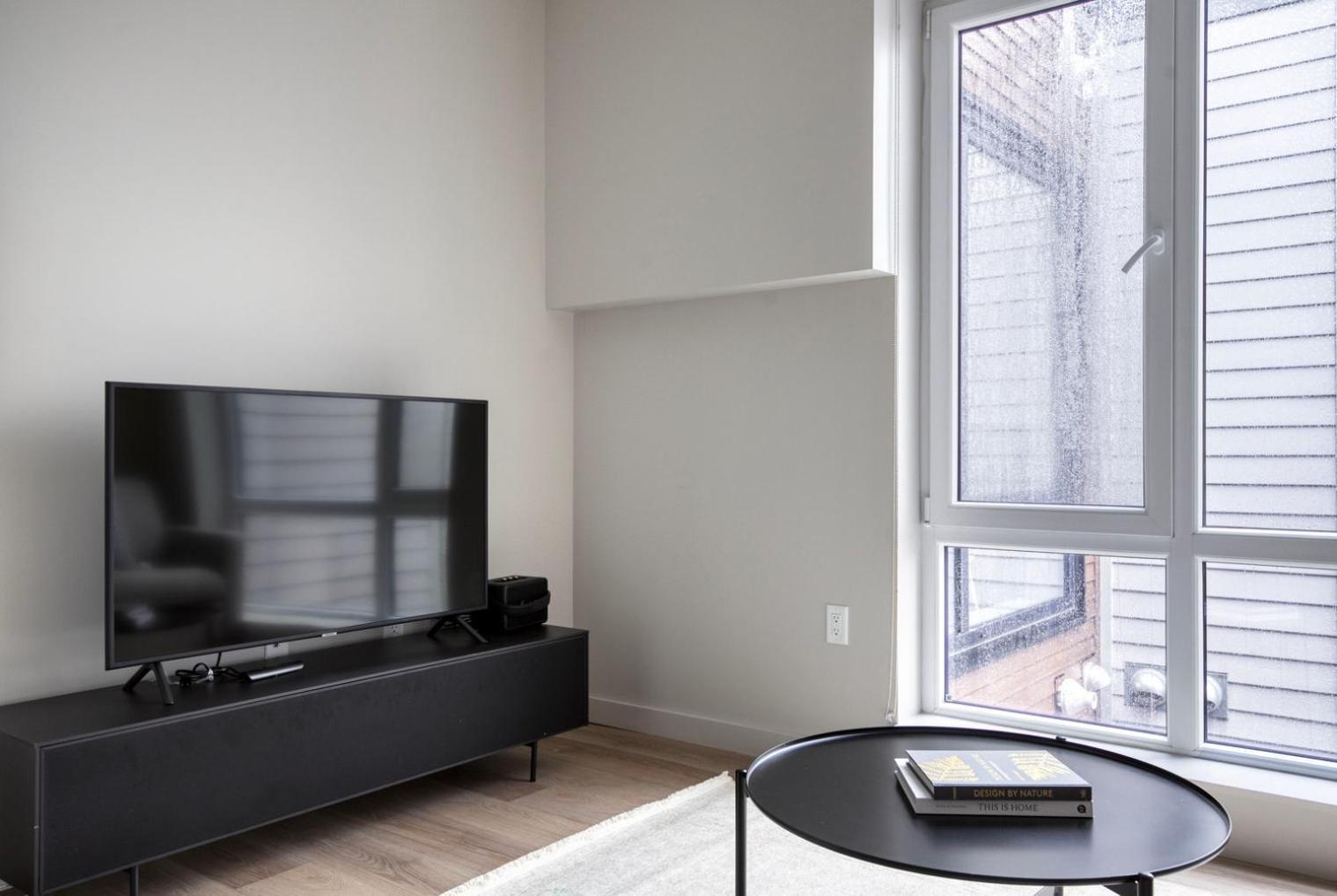 Apartment Brighton Jr 1br W Gym Laundry On The River Bos-999 Boston