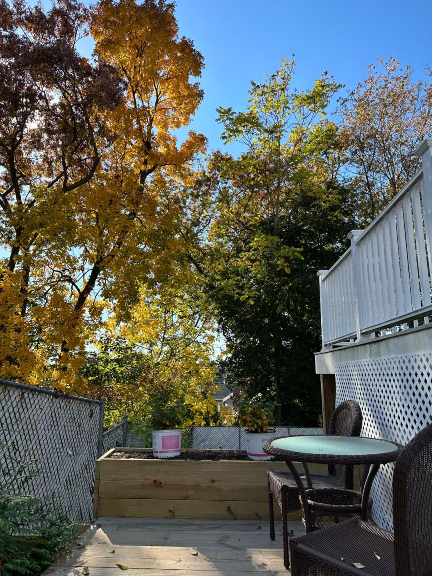 Holiday home Single Family House - 19' Train To Back Bay