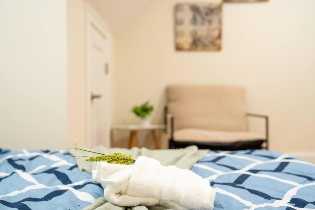 80-3 3Br Boston - Charming Apt Near Harvard Square * Boston