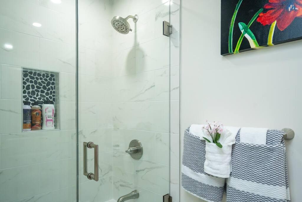80-3 3Br Boston - Charming Apt Near Harvard Square * Boston