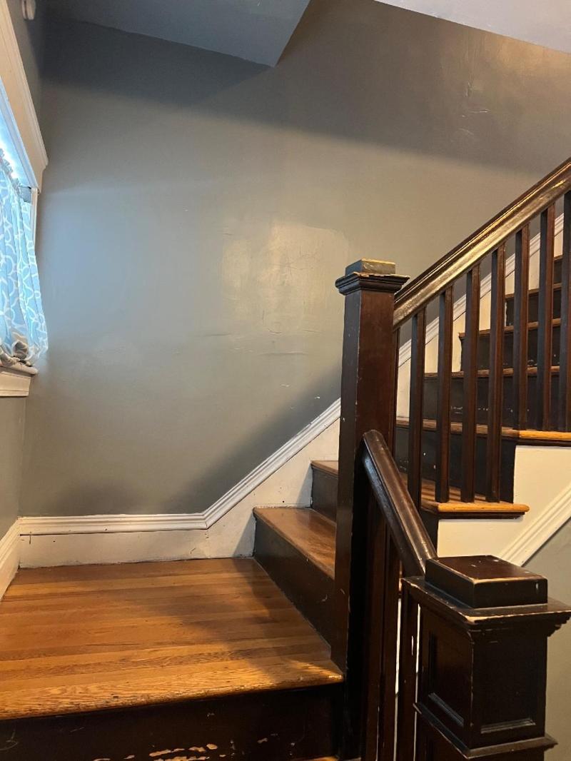 Cozy 1-bed Private Downtown Dorchester, Ma! * Boston