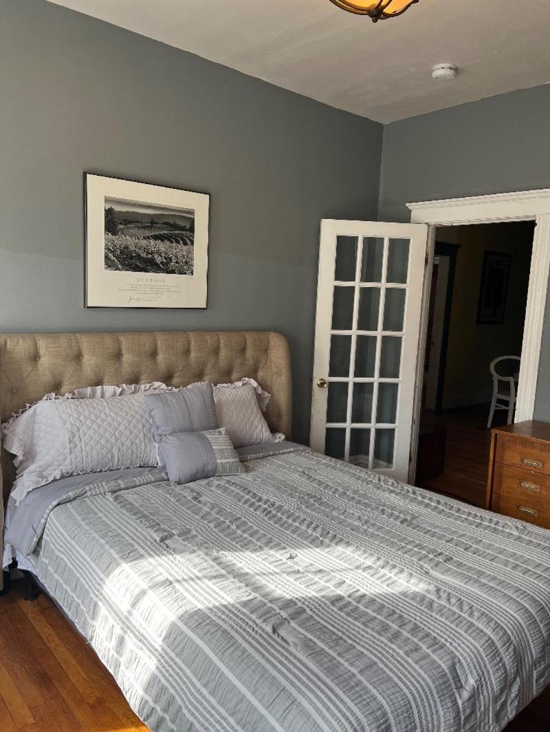Cozy 1-bed Private Downtown Dorchester, Ma! Apartment *