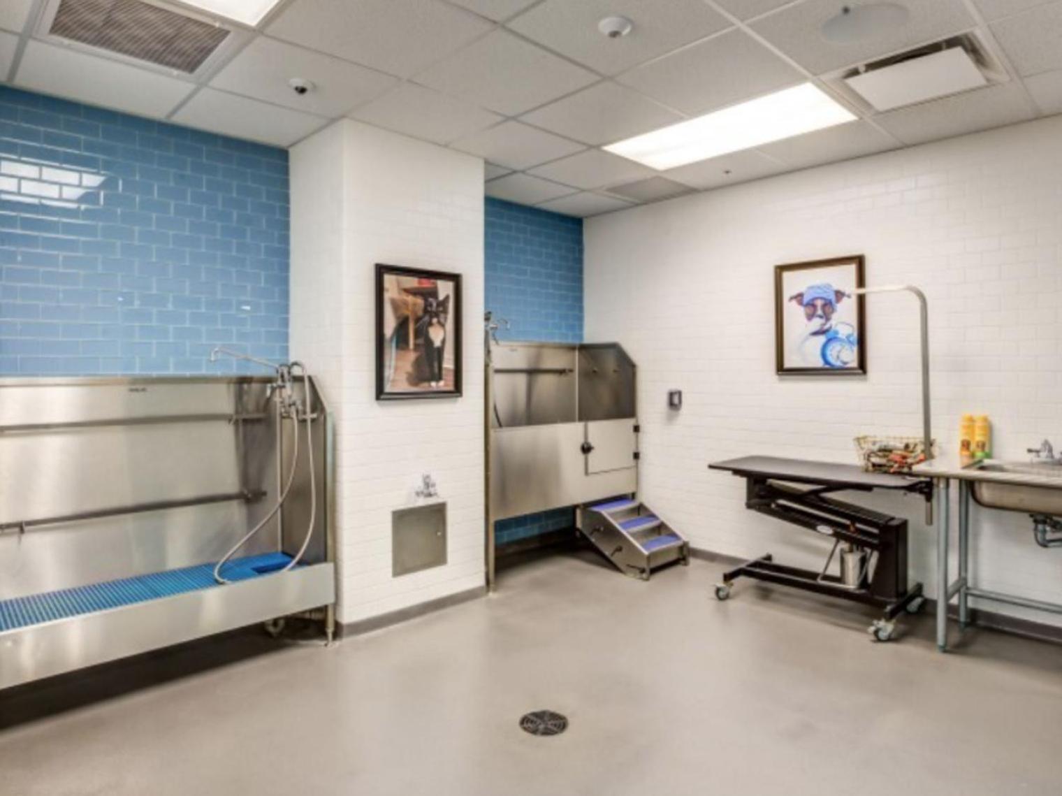 Apartment East Cambridge 1br W Gym Wd Nr Lechmere T Bos-866 Boston