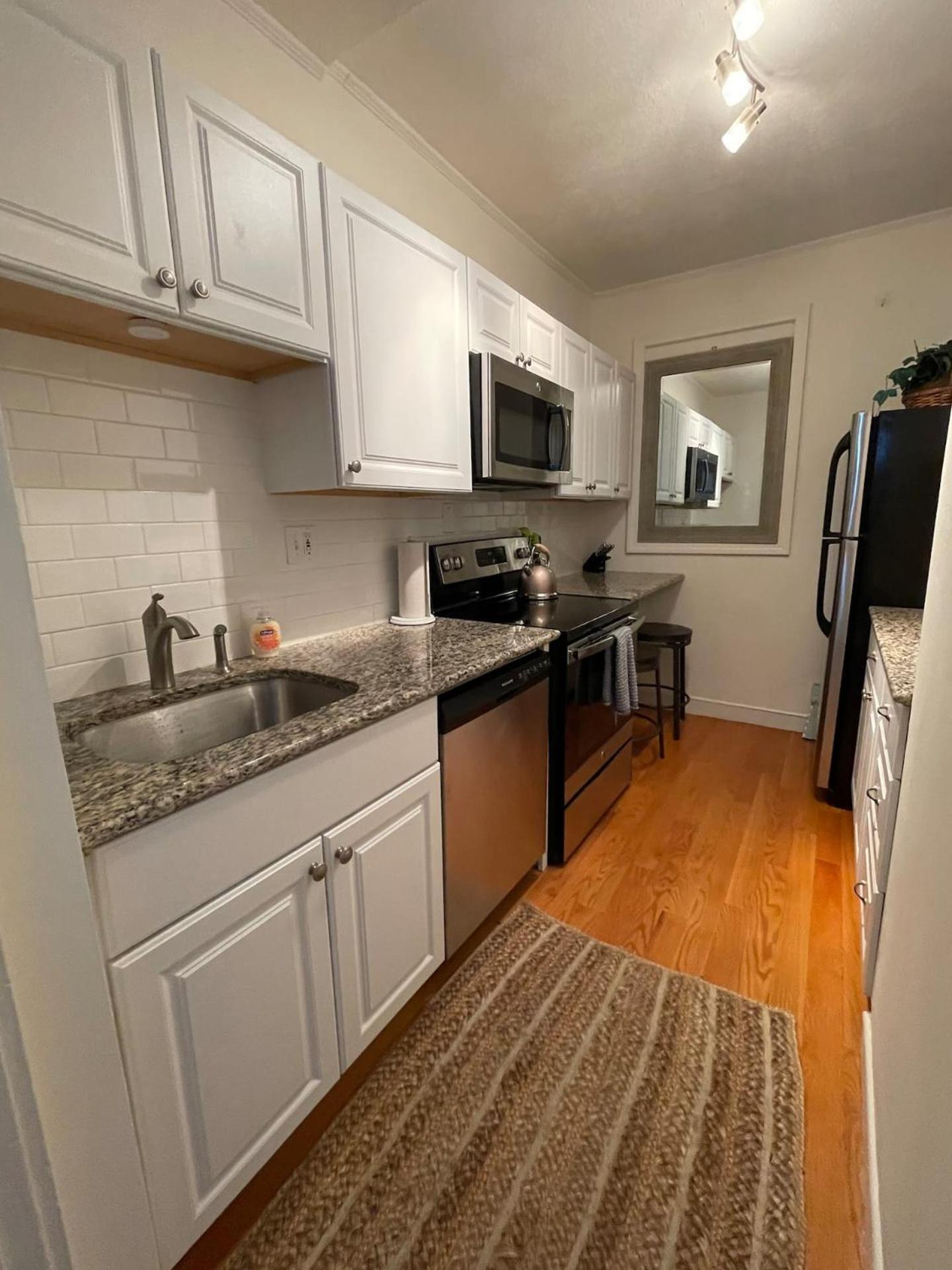 Sun-filled 1b 1ba W Views Near Public Trans Apartment Boston