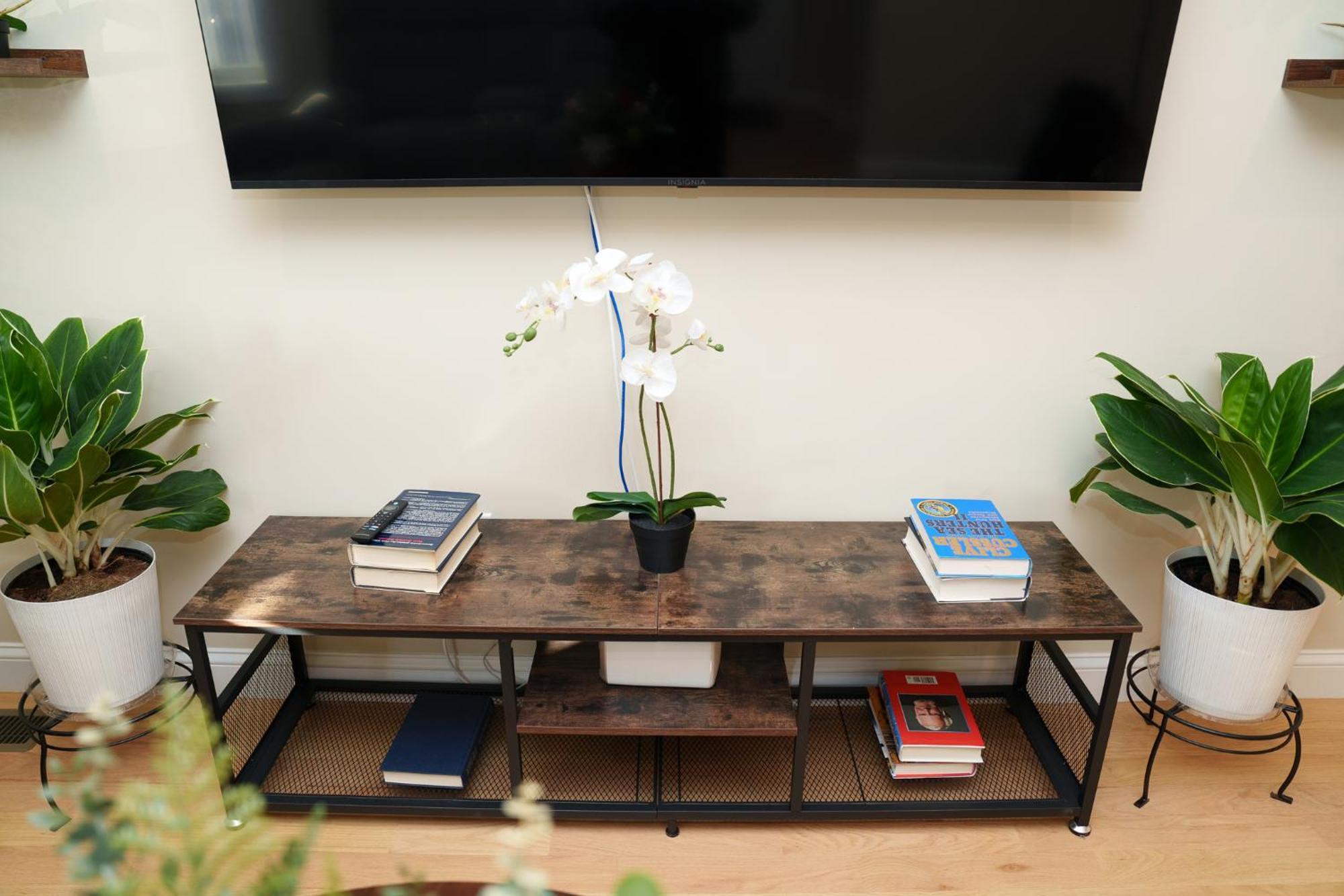 60-1 4Br Boston - Cozy New Apt Near Park Zoo *