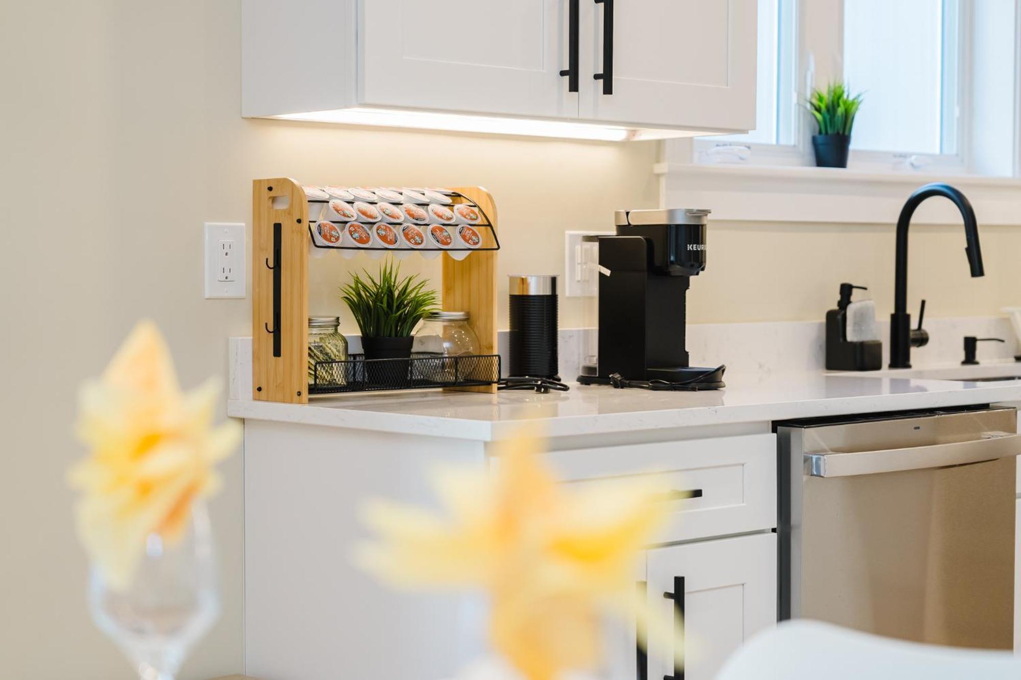 60-1 4Br Boston - Cozy New Apt Near Park Zoo *