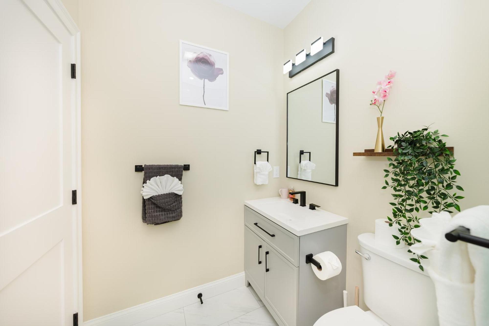 60-1 4Br Boston - Cozy New Apt Near Park Zoo Apartment Boston