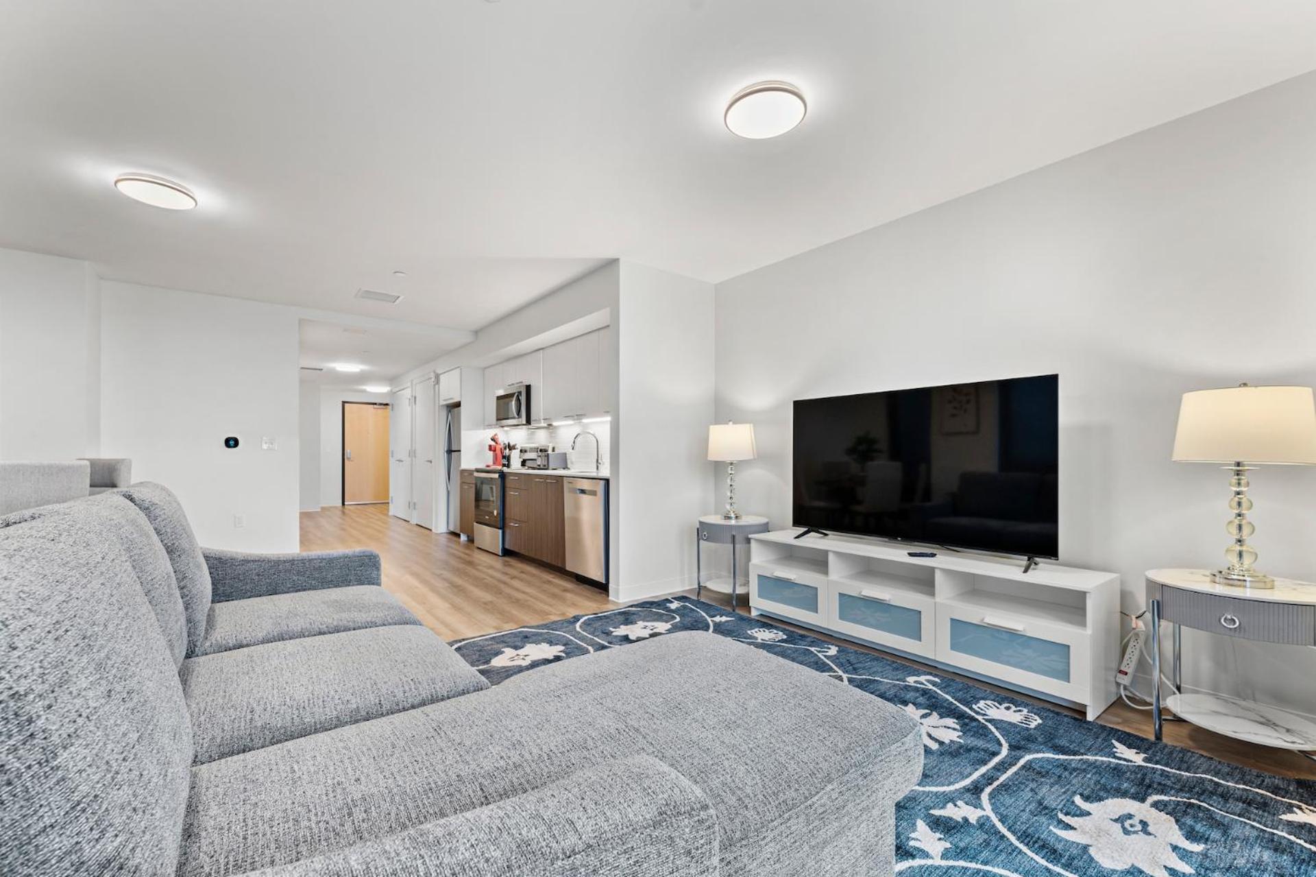 Furnished Luxury Next To Harvard Stadium * Boston