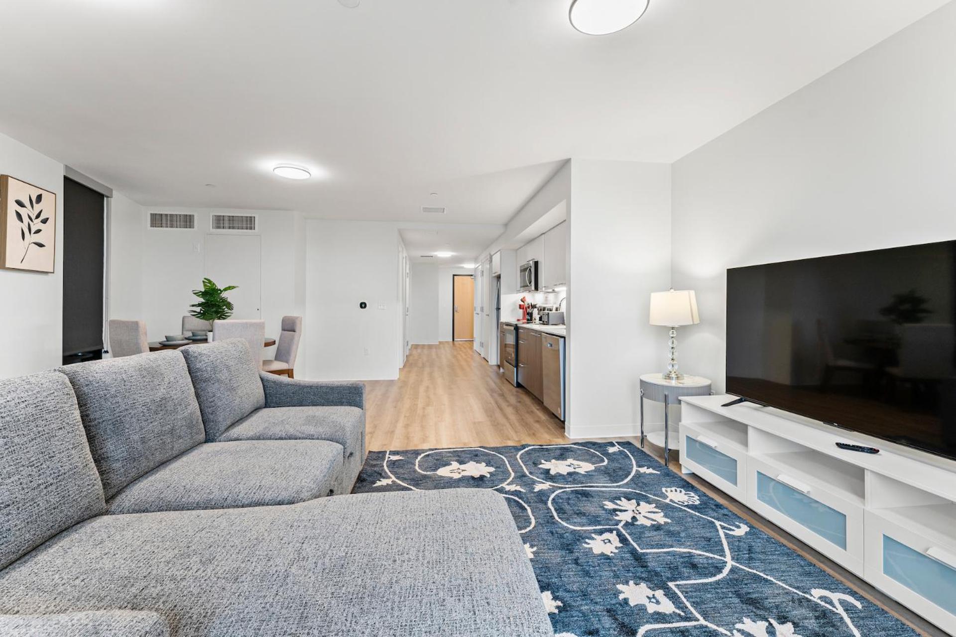 Furnished Luxury Next To Harvard Stadium Apartment Boston
