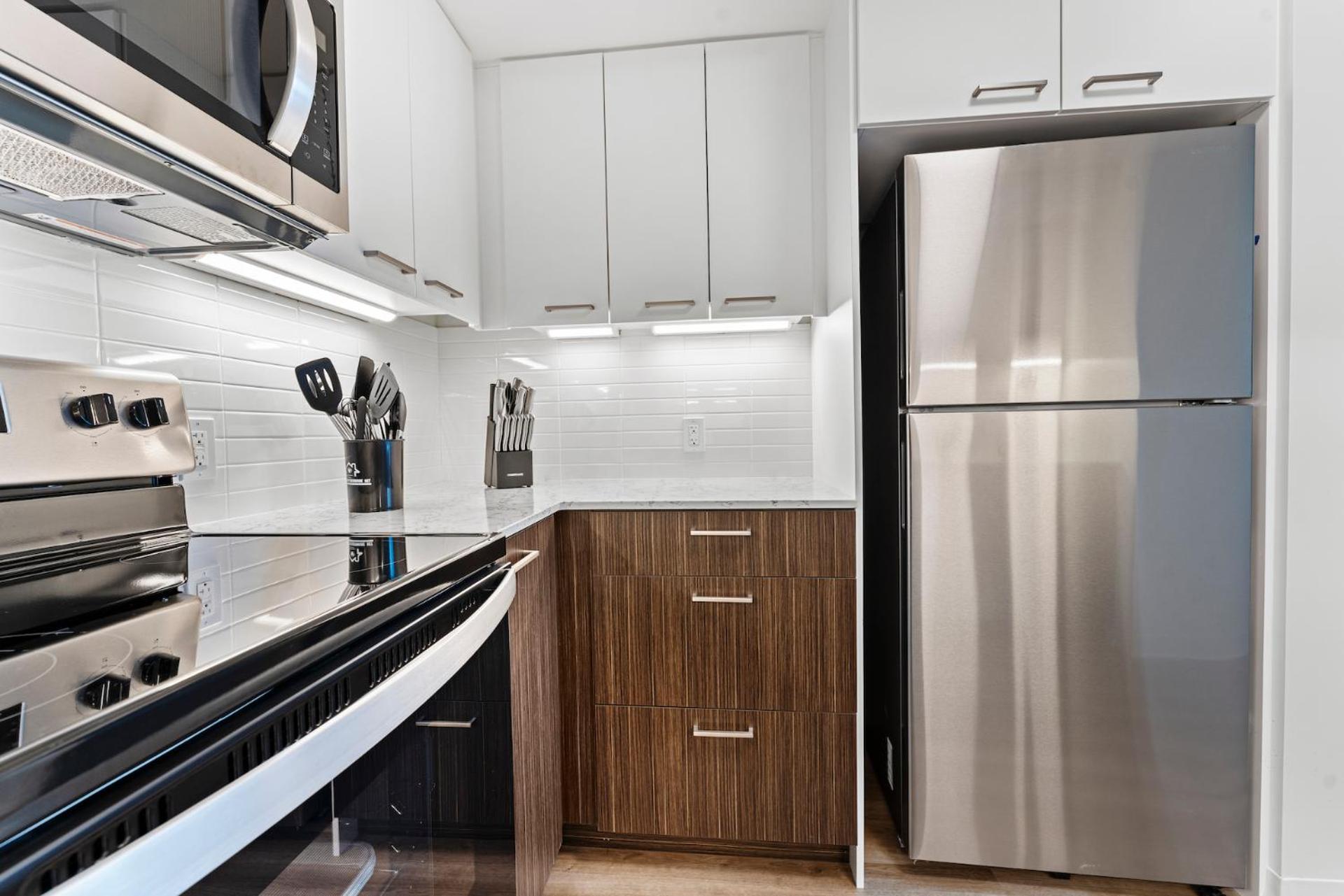 Furnished Luxury Next To Harvard Stadium Apartment Boston