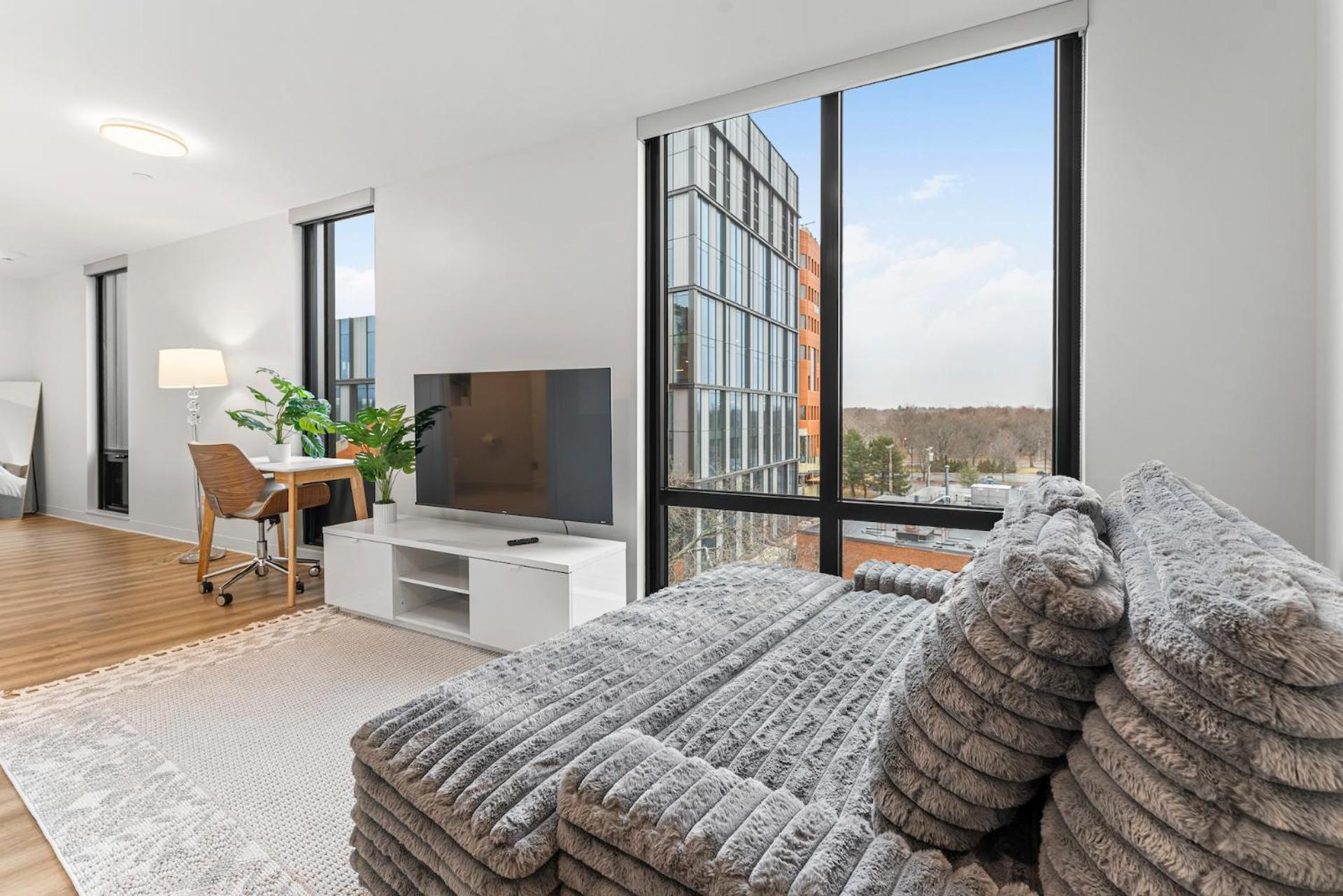 Furnished Luxury Next To Harvard Stadium Boston