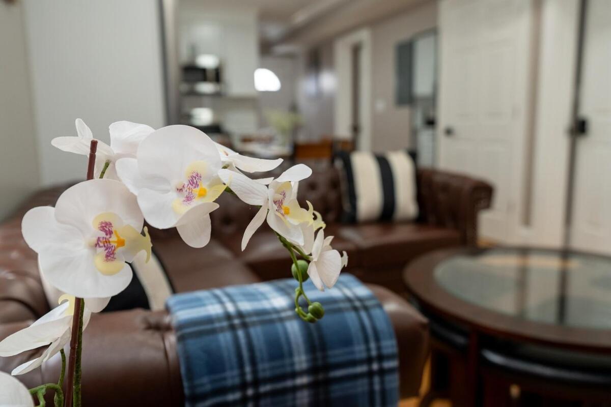 558-1 3Br Boston - Renovated Nest Near Aquarium *