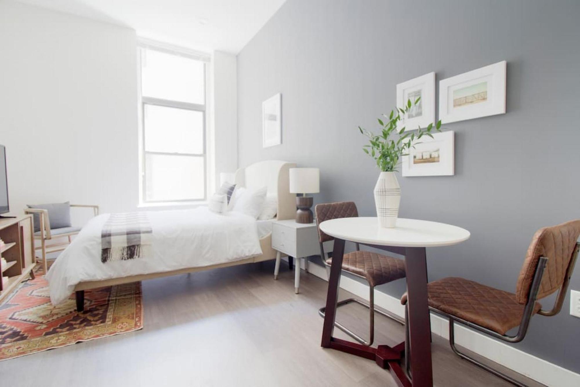 Airy Downtown Pet Friendly Apartment