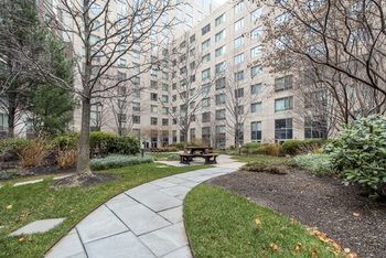 Global Luxury At Fenway Park South Apartment