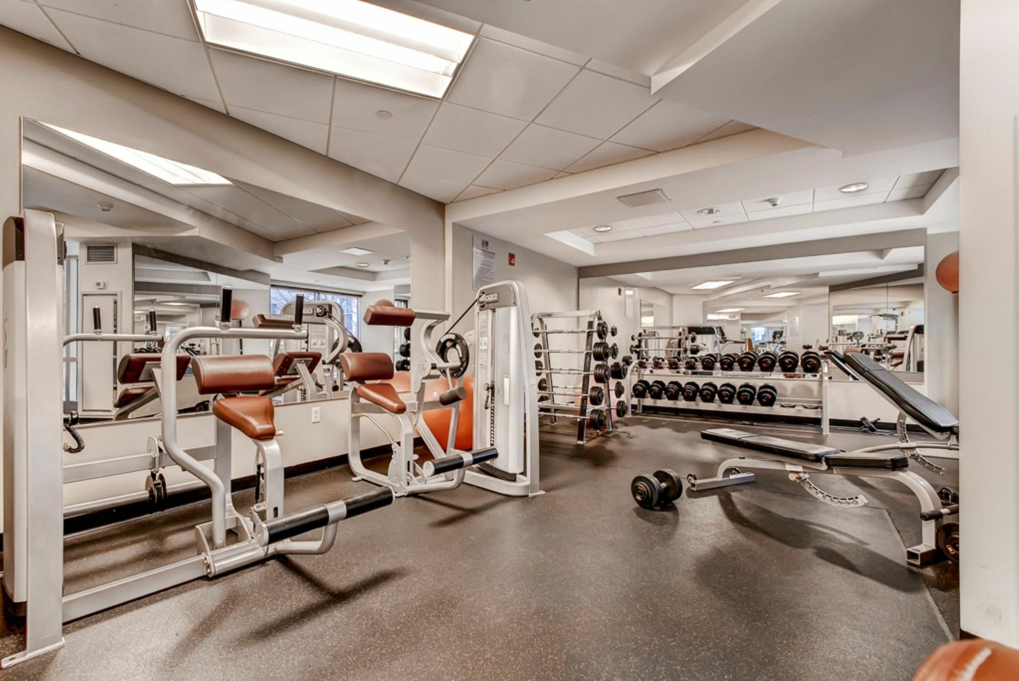 Global Luxury At Fenway Park South Boston