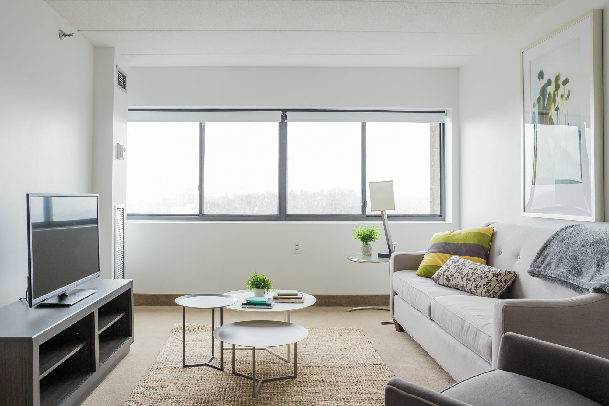 Smart 2br In Allston By Sonder Apartment