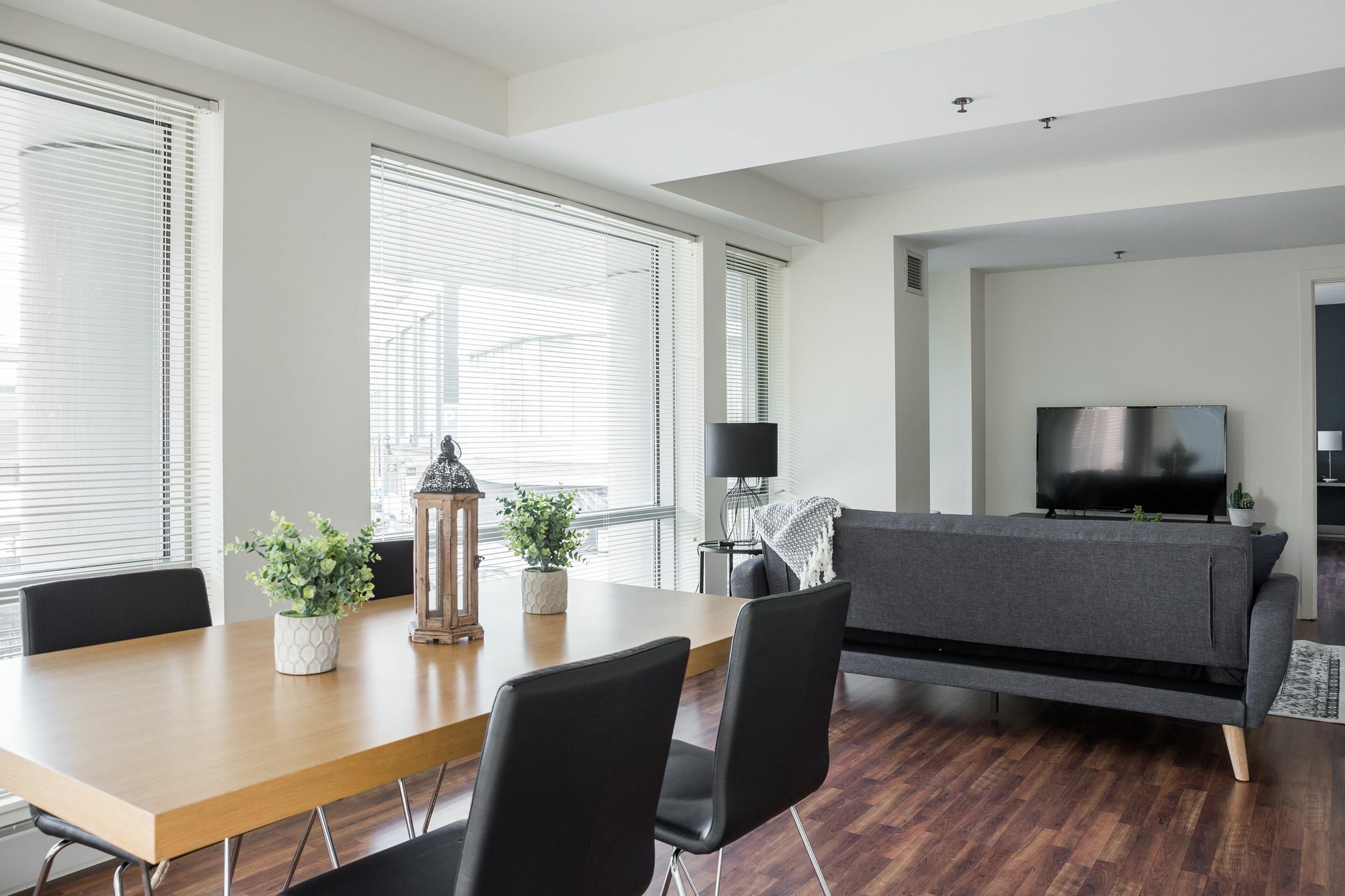 Mid-century 1br In Fenway By Sonder *