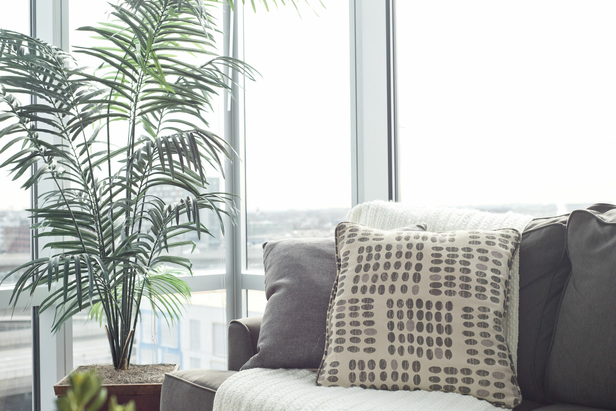 Apartment Posh 2br In South End By Sonder Boston