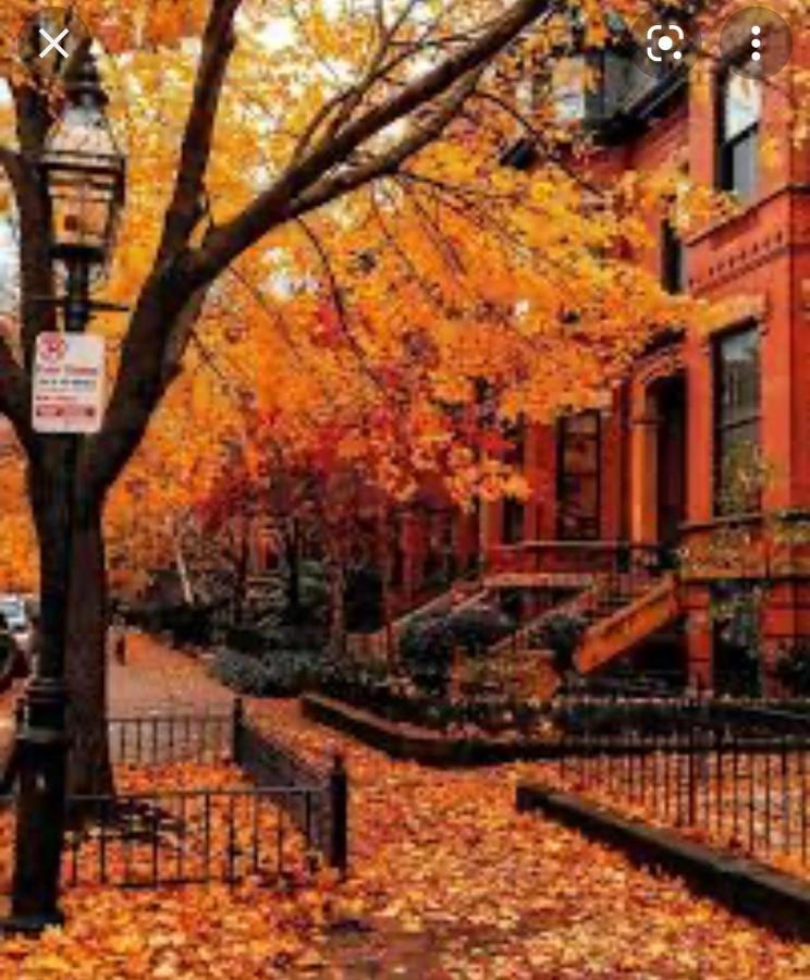 Apartamento North End Harbor View Condo. Free Parking *