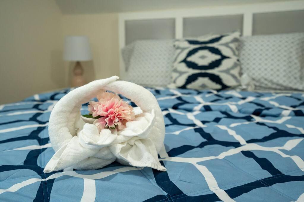 80-3 3Br Boston - Charming Apt Near Dorchester Center Apartamento *