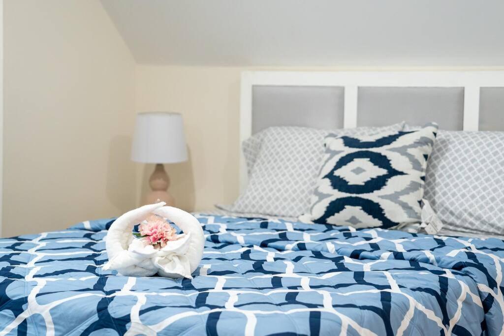 80-3 3Br Boston - Charming Apt Near Dorchester Center Apartamento