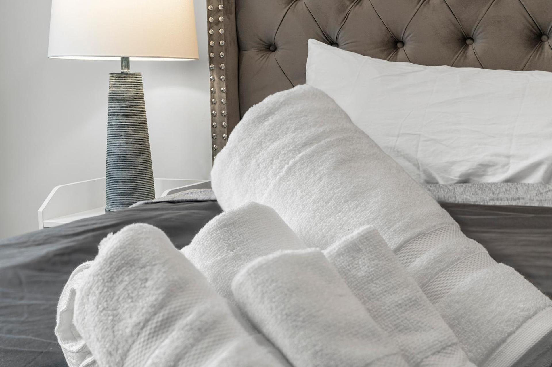 Apartment Furnished Luxury Next To Harvard Stadium Boston