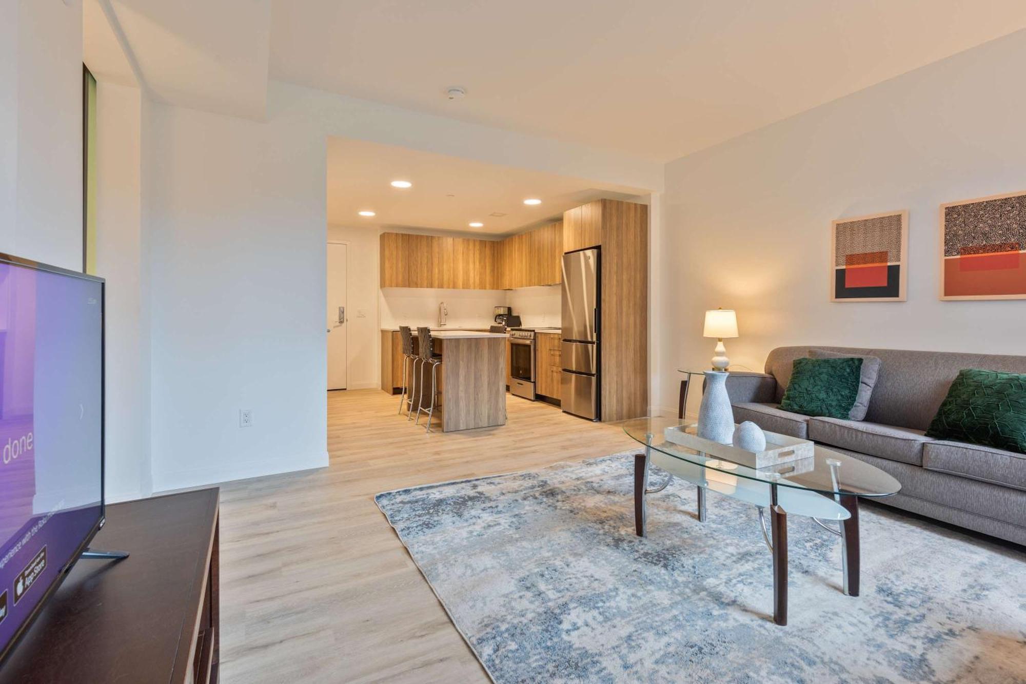 Luxury With Kitchen & Gym - Idl-248 Apartment Boston
