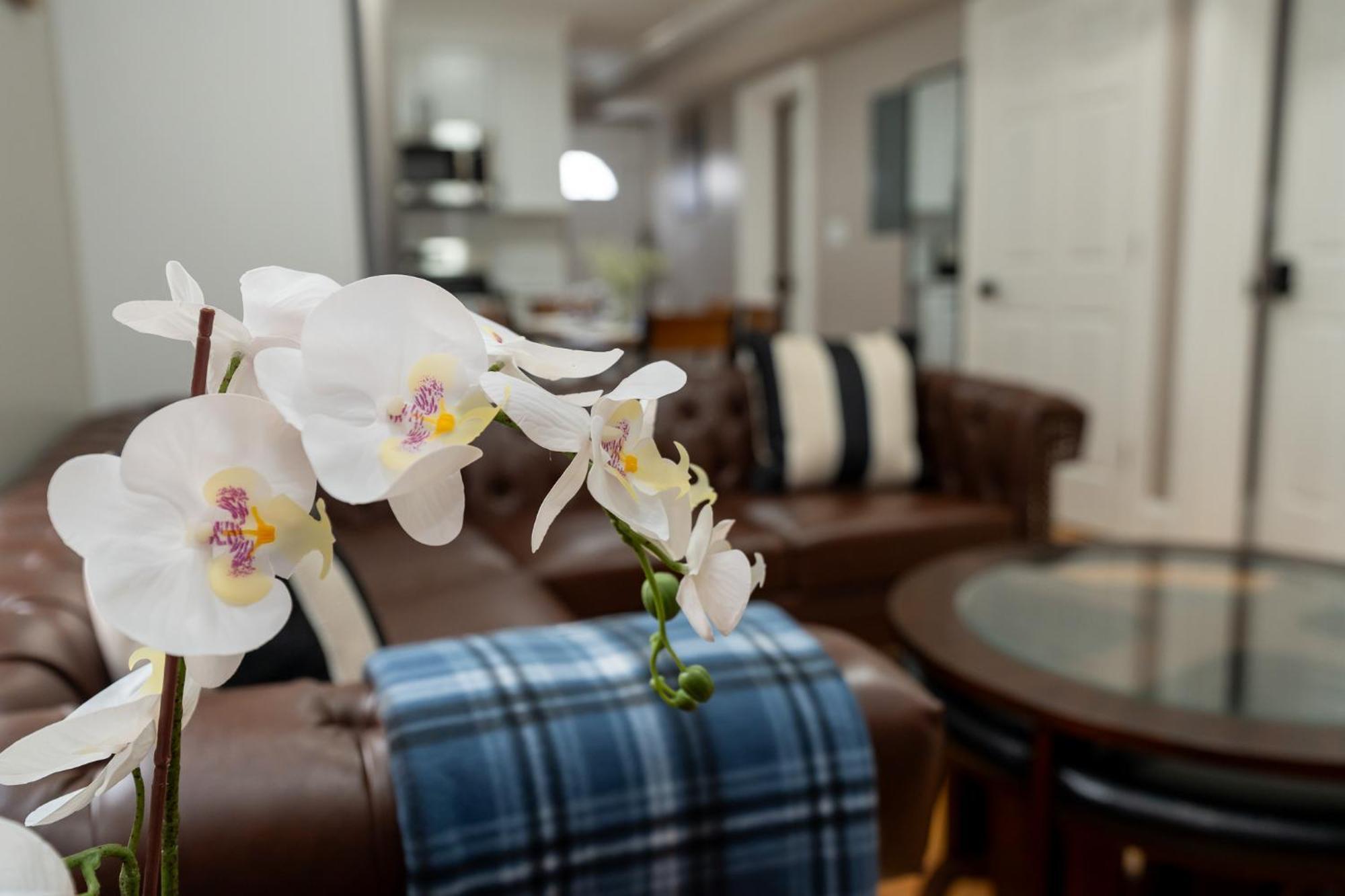Apartamento 558-1 3Br Boston - Modern Nest Near Franklin Park *