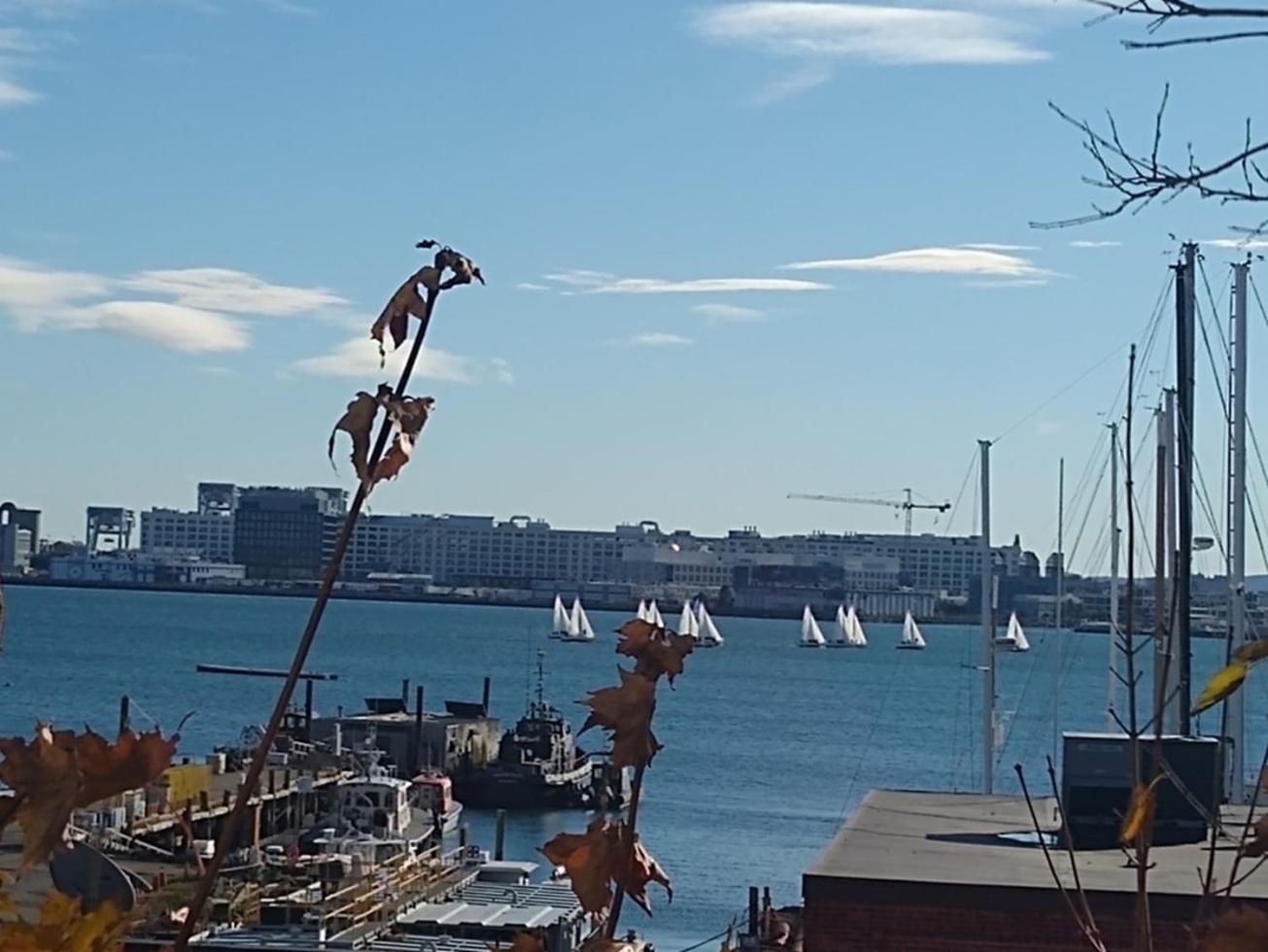 Yatch * Boston