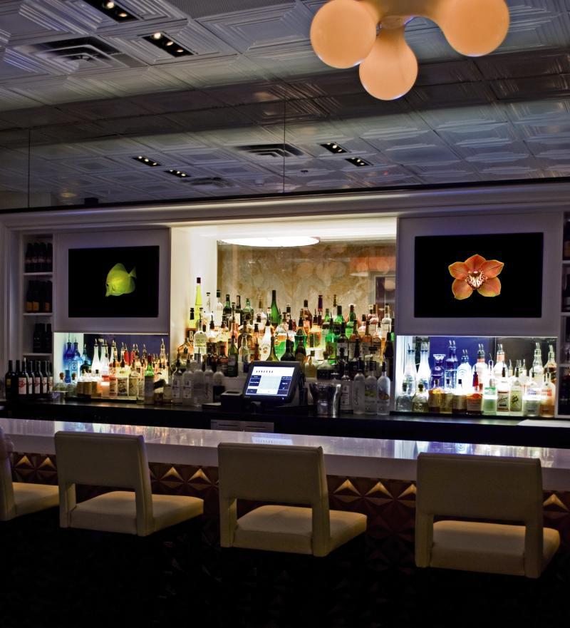 Hotel Copley Square Hotel, A Found